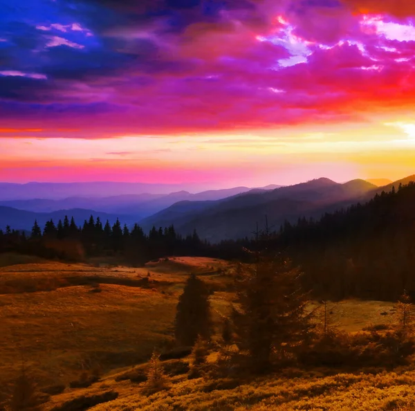 素晴らしい夏の風景 素晴らしい夕日の風景 山の中で美しい自然背景 カルパチア山脈 ウクライナ ヨーロッパ — ストック写真