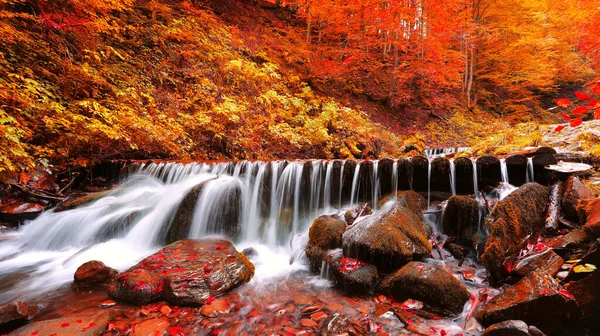 Merveilleuse Image Lever Soleil Automne Dans Les Montagnes Aube Matin — Photo