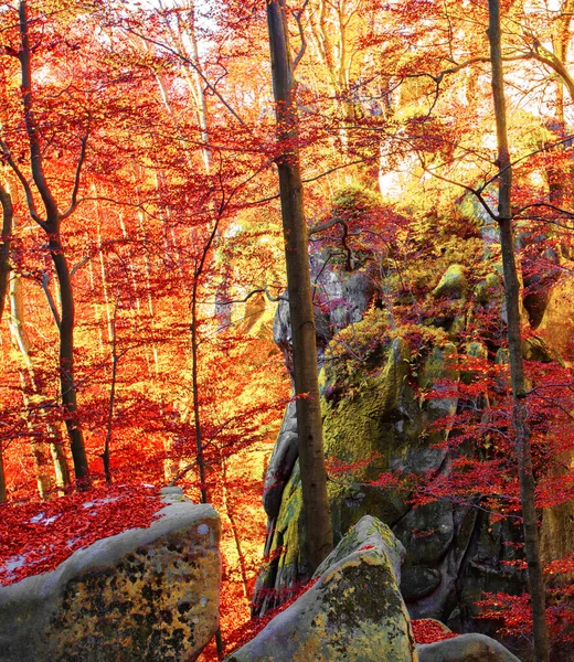 Maravillosa Imagen Del Amanecer Del Otoño Las Montañas Amanecer Mañana — Foto de Stock