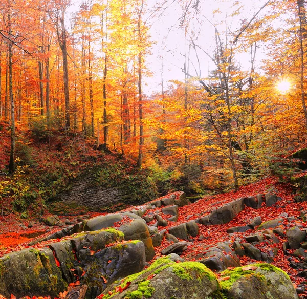 Прекрасный Осенний Снимок Восхода Солнца Горах Осенний Рассвет Красочный Фон — стоковое фото