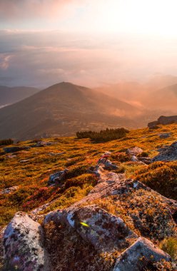 harika yaz manzarası, harika gün batımı manzarası, dağlardaki güzel doğa arka planı, Karpatya dağları, Marmarosy sıradağları, Ukrayna, Avrupa