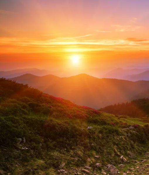 Wspaniałe Letnie Krajobrazy Niesamowity Zachód Słońca Piękne Tło Natury Górach — Zdjęcie stockowe
