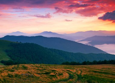 Muhteşem yaz manzarası, muhteşem gün batımı manzarası, dağlardaki güzel doğa arka planı, Karpat dağları, Ukrayna, Avrupa