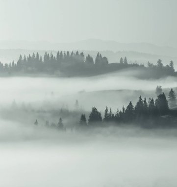 Muhteşem yaz manzarası, muhteşem gün batımı manzarası, dağlardaki güzel doğa arka planı, Karpat dağları, Ukrayna, Avrupa