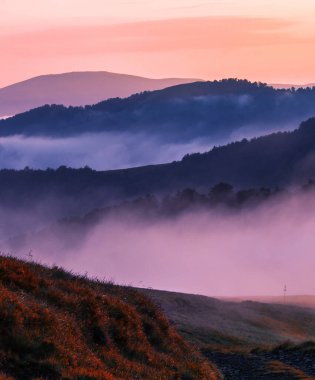 awesome summer scenery, awesome sunset landscape, beautiful nature background in the mountains, Carpathian mountains, Ukraine, Europe