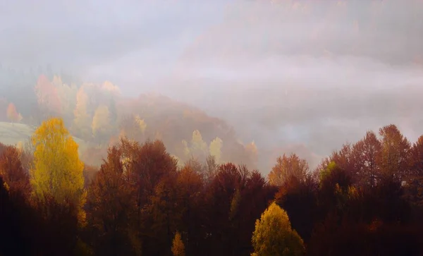Erstaunliche Herbst Sonnenaufgang Bild Den Bergen Herbst Morgendämmerung Natur Bunten — Stockfoto