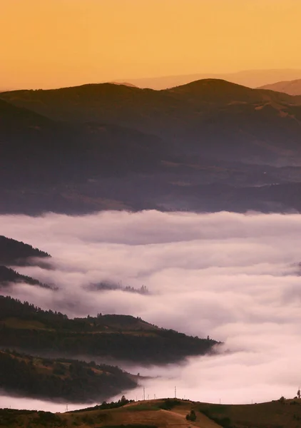 Çarpıcı Yaz Manzarası Muhteşem Günbatımı Manzarası Dağlardaki Güzel Doğa Arka — Stok fotoğraf