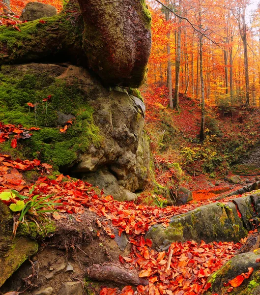 Wonderful Autumn Sunrise Image Mountains Autumn Morning Dawn Nature Colorful — Stock Photo, Image