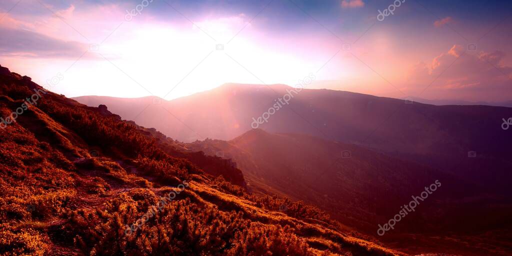 stunning summer scenery, awesome sunset landscape, beautiful nature background in the mountains, Carpathian mountains, Ukraine, Europe