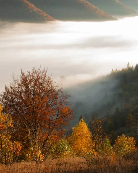 Wunderbare Herbst Sonnenaufgang Bild Den Bergen Herbst Morgen Morgendämmerung Natur — Stockfoto