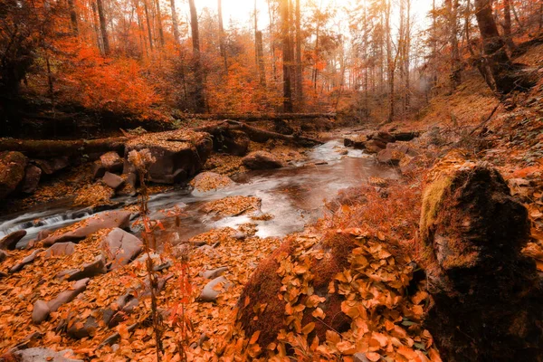 Wonderful Autumn Sunrise Image Mountains Autumn Morning Dawn Nature Colorful — Stock Photo, Image