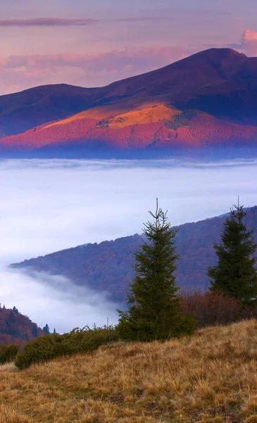 山の中で素晴らしい秋の日の出画像 秋の朝の夜明け 自然カラフルな背景 カルパチア山脈 ウクライナ ヨーロッパ — ストック写真