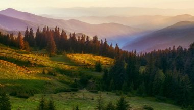 Muhteşem yaz manzarası, muhteşem gün batımı manzarası, dağlardaki güzel doğa arka planı, Karpat dağları, Ukrayna, Avrupa