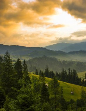 Muhteşem yaz manzarası, muhteşem gün batımı manzarası, dağlardaki güzel doğa arka planı, Karpat dağları, Ukrayna, Avrupa