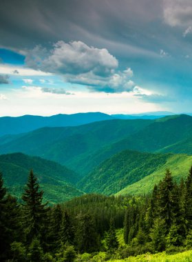 Muhteşem yaz manzarası, muhteşem gün batımı manzarası, dağlardaki güzel doğa arka planı, Karpat dağları, Ukrayna, Avrupa