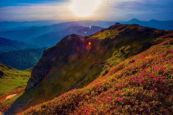 壮大な夏の風景 素晴らしい夕日の風景 山の中の美しい自然背景 カルパチア山脈 ウクライナ ヨーロッパ — ストック写真