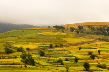 spectacular nature scenery, awesome sunset landscape, beautiful morning background in the mountains, Carpathian mountains, Ukraine, Europe