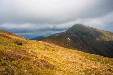 spectacular nature scenery, awesome sunset landscape, beautiful morning background in the mountains, Carpathian mountains, Ukraine, Europe