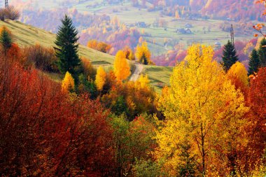 picturesque autumn sunrise image in mountains, autumn morning dawn, nature colorful background, Carpathians mountains, Ukraine, Europe