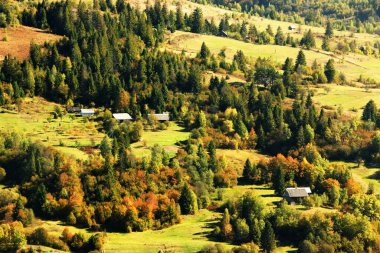 picturesque autumn sunrise image in mountains, autumn morning dawn, nature colorful background, Carpathians mountains, Ukraine, Europe