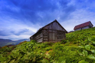 spectacular nature scenery, awesome sunset landscape, beautiful morning background in the mountains, Carpathian mountains, Ukraine, Europe