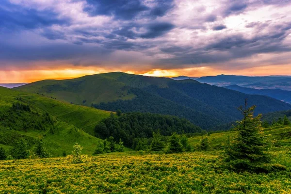 Чудовий Краєвид Природи Чудовий Пейзаж Заходу Сонця Прекрасний Ранковий Фон — стокове фото