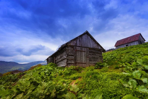 spectacular nature scenery, awesome sunset landscape, beautiful morning background in the mountains, Carpathian mountains, Ukraine, Europe