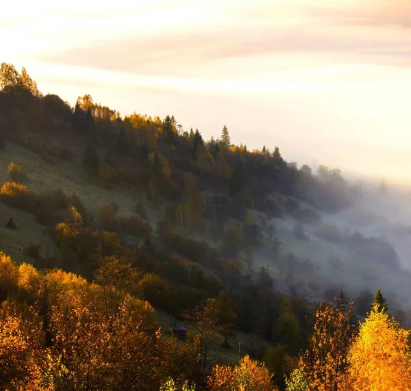 Erstaunliche Herbst Sonnenaufgang Bild Den Bergen Herbst Morgendämmerung Natur Bunten — Stockfoto