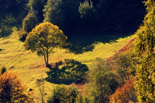 Amazing Autumn Sunrise Image Mountains Autumn Morning Dawn Nature Colorful — Zdjęcie stockowe