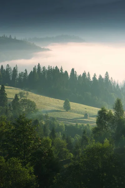 Malebná Příroda Scenérie Úžasné Západ Slunce Krajina Krásné Ranní Pozadí — Stock fotografie