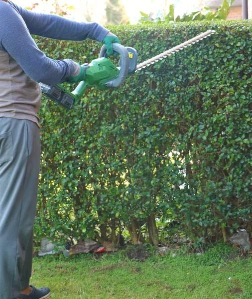 Ein Gärtner Hält Mit Beiden Händen Eine Heckenschere Der Hand — Stockfoto