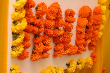 Kadın eli üzerinde mehandi ya da kına tasarımı uygulanıyor. Görüntü izole edildi..