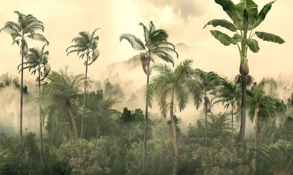 tropical trees and leaves wallpaper design in foggy forest - 3D illustration