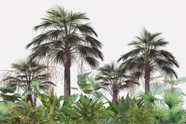 Sisli orman duvar kağıdı tasarımında tropikal ağaçlar ve yapraklar - 3 boyutlu illüstrasyon