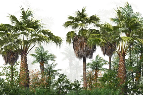 Τροπικά Δέντρα Και Φύλλα Ομιχλώδη Δάσος Ταπετσαρία Σχεδιασμού Εικονογράφηση — Φωτογραφία Αρχείου