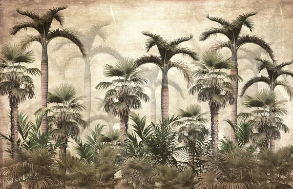 Τροπικά Δέντρα Και Φύλλα Ομιχλώδη Δάσος Ταπετσαρία Σχεδιασμού Εικονογράφηση — Φωτογραφία Αρχείου