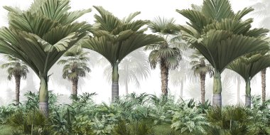 Dijital baskı duvar kağıdı için tropikal ağaç ve yapraklar, özel tasarım duvar kağıdı - 3D illüstrasyon