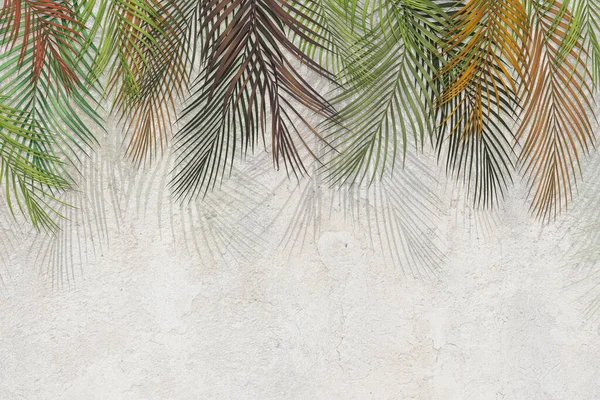 tropical trees and leaves for digital printing wallpaper, custom design wallpaper - 3D illustration