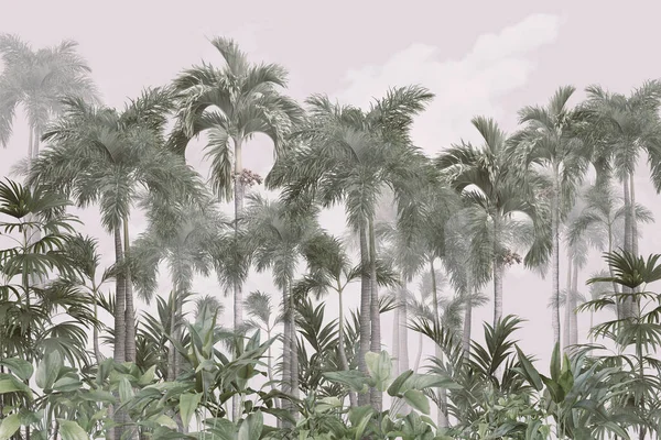Тропічні Дерева Листя Туманному Лісі Дизайн Шпалер Ілюстрація — стокове фото
