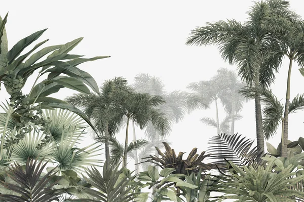 Tropikalne Drzewa Liście Mglistym Projekcie Tapety Leśnej Ilustracja — Zdjęcie stockowe