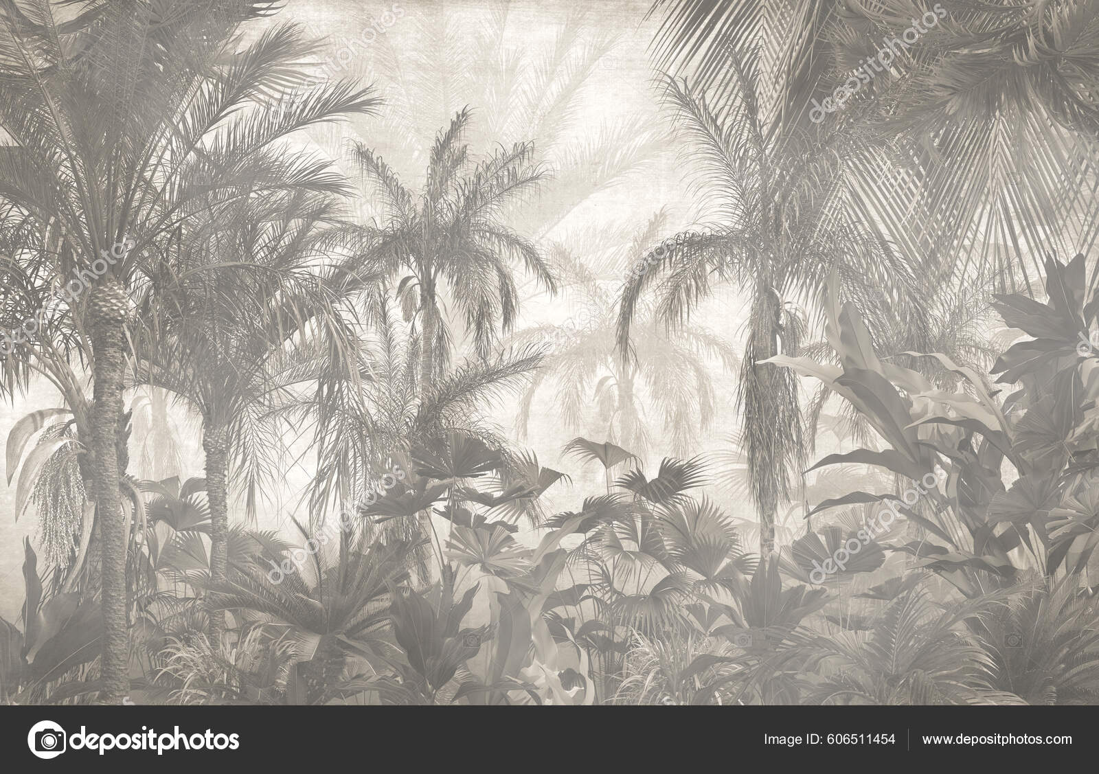 bosque en niebla, bosque brumoso de Foto de stock 2576138633 | Shutterstock, image size:1600x1127