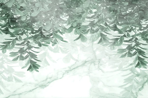 Тропічні Дерева Листя Туманному Лісі Дизайн Шпалер Ілюстрація — стокове фото