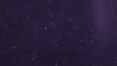 Abstract fluid flow and little air bubbles background 
