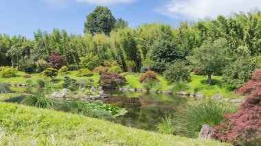Japon bahçesindeki ağaçlar ve yeşil alanlar.