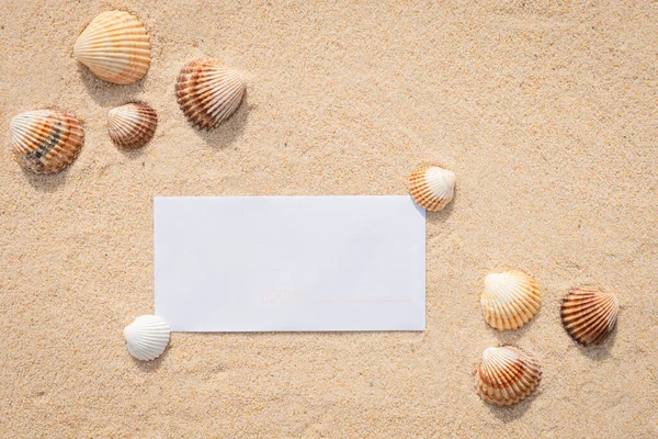 Arka planda deniz kum taneleri, zarf ve kabuklu güzel kumsal kumları. Kağıt üzerinde metin için boşluk.