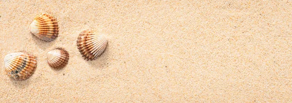 Зерна Морского Песка Мелкий Пляжный Песок Раковины Лицензионные Стоковые Фото