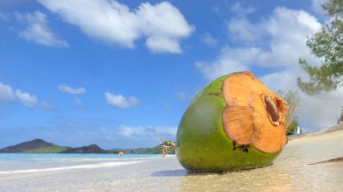 Antigua 'daki kumsalda taze hindistan cevizi, kilisenin vadisi..