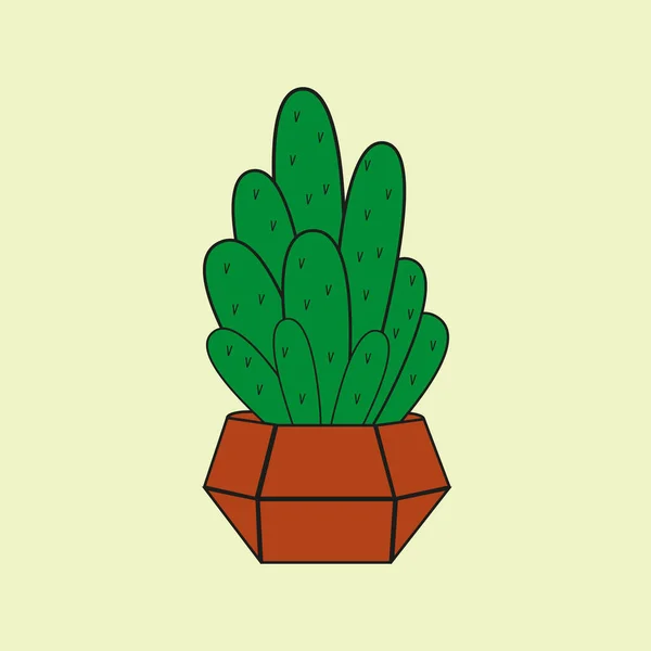 barbed cactus in a pot