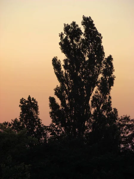 Sıcak bir yaz akşamında güzel bir gün batımı Güzel bulutlar