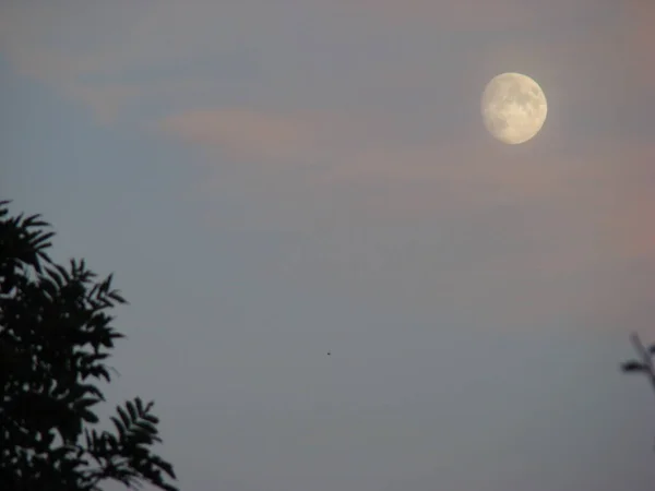 Moonlight Sunset Summer Evening — Stock Photo, Image